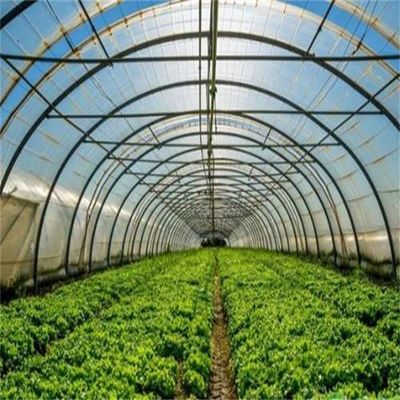 Capa do filme Estufas agrícolas de camada única para agricultura sustentável