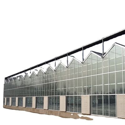 Grande estufa de vidro Fungos Aeropônica Torre Jardim para Eco Restaurante Instrução
