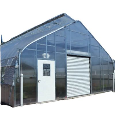 Vegetais Frutas Flores Cogumelos Casa para o cultivo ecológico
