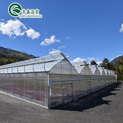 Material de cobertura de folha PC Estufa agrícola multi-espaço para o cultivo de vegetais