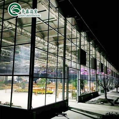 Estrutura de aço galvanizado Venlo Estufas de vidro para cultivo de vegetais Frutas Flores