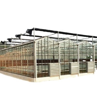 3.8m-9.8m Ridge Height Glass Solar Greenhouse para os requisitos do cliente
