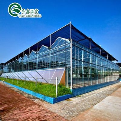 Grandes estufas de jardim cobertas de vidro para opções de plantação versáteis