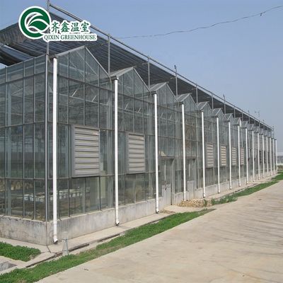 Serra de tubos de aço galvanizado de Venlo com jardim de torre e sistema de sombreamento ideal