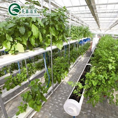 Estufas agrícolas de várias faixas com filme de PO que redefinem sistemas hidropónicos internos