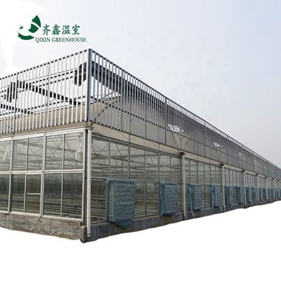 Sistema de sombreamento interior Fungos Equipamento de estufa para frutas e flores vegetais