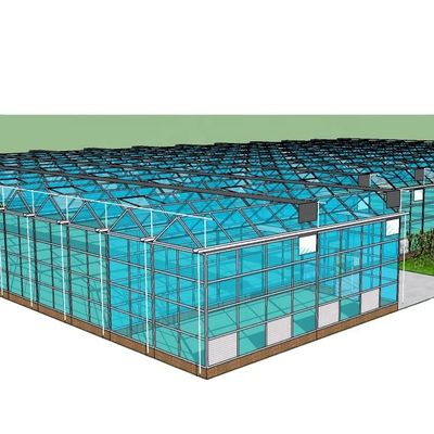 Vegetais Frutas Flores Sistema aquapônico Estufas agrícolas
