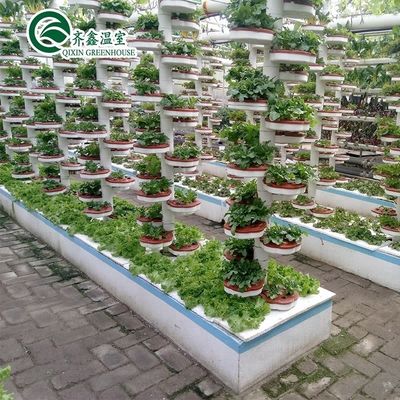 Sistemas de cultivo hidropónico para estufas protegidos por filme PO