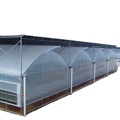 Película de estufa multi-span personalizada para proteção UV e condições de crescimento ideais