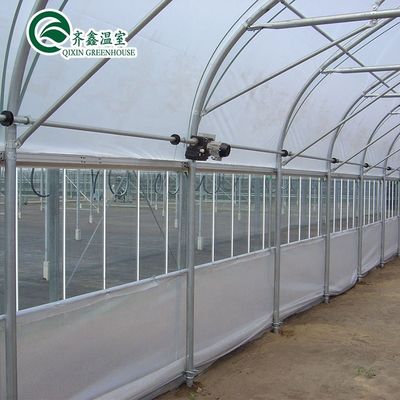 Estufa de película de plástico de comprimento único agrícola de alto túnel de tamanho personalizável