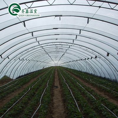 Estufa de película de plástico de comprimento único agrícola de alto túnel de tamanho personalizável