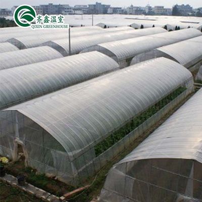 Estufa de película de plástico de comprimento único agrícola de alto túnel de tamanho personalizável