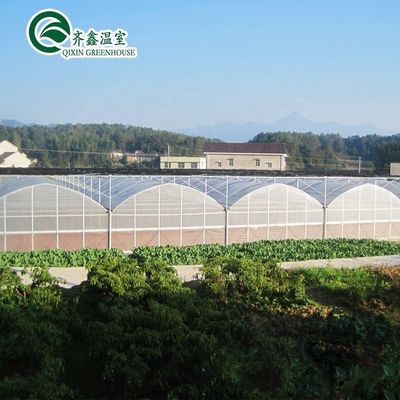 Casa de Praia Transparente Tenda Estufa com Estrutura de Aço de Alumínio Galvanizado a Quente