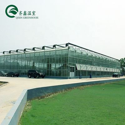 Grande estufa de vidro agrícola personalizada com sistema de calhas hidropônicas de PVC