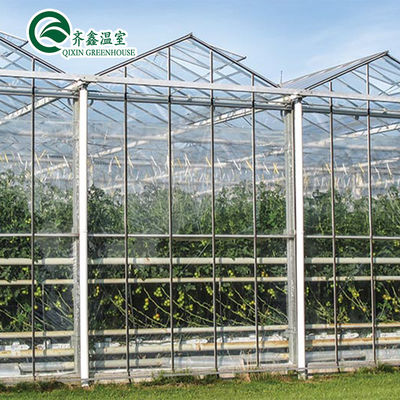 Folha de policarbonato Aquapônico Tomate Galvanizado Tubo de Aço Para Estufas Prefabricadas
