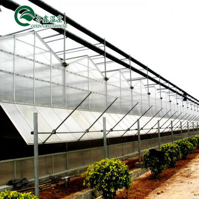 Folha de policarbonato Aquapônico Tomate Galvanizado Tubo de Aço Para Estufas Prefabricadas
