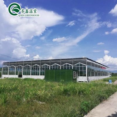 Estufas agrícolas de várias faixas abrigo pré-fabricado para a chuva para o cultivo de tomate