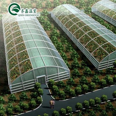 Fornecimentos hidropónicos para estufas de solo único Refrigerante Irrigação Ventilação e Mais