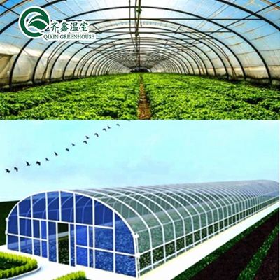 Fornecimentos hidropónicos para estufas de solo único Refrigerante Irrigação Ventilação e Mais