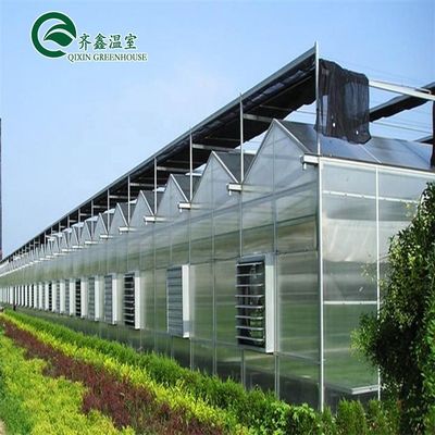 Estrutura principal Galvanização a Quente Alumínio Aço Prefabricada Casa de Verdura para o Cultivo de Tomate