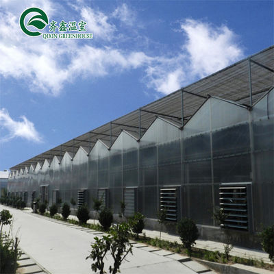 Estrutura principal Galvanização a Quente Alumínio Aço Prefabricada Casa de Verdura para o Cultivo de Tomate
