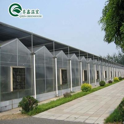 Estrutura principal Galvanização a Quente Alumínio Aço Prefabricada Casa de Verdura para o Cultivo de Tomate