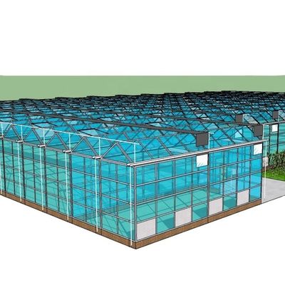 3.8m-9.8m Ridge Height Glass Solar Greenhouse para os requisitos do cliente