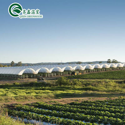 PE Sistemas verticais de tubulação hidropônica de Nft para distribuição de água na agricultura em estufa
