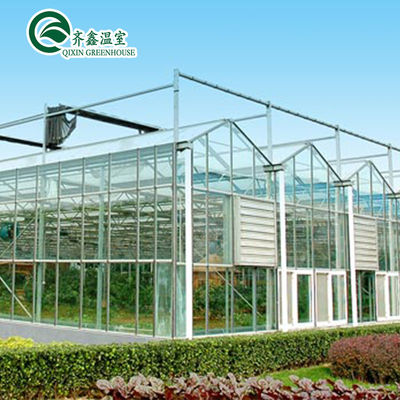 Tomates Sistema hidropónico vertical para venda em estufas em vários períodos nos Países Baixos