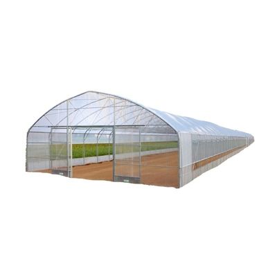 Estufas de cobertura de filme para cultivo de vegetais, frutas e flores em camada única