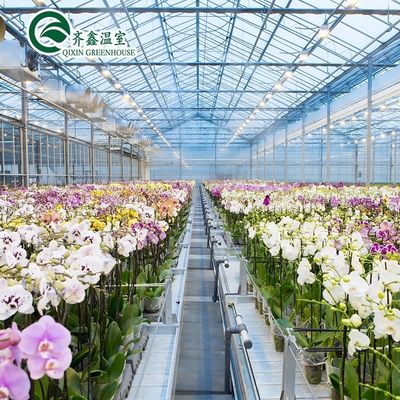 Estufas de cobertura de filme para cultivo de vegetais, frutas e flores em camada única