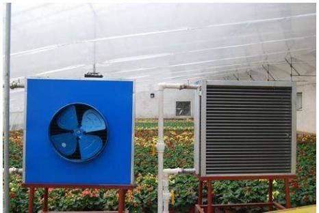 Estufas de cobertura de filme para cultivo de vegetais, frutas e flores em camada única