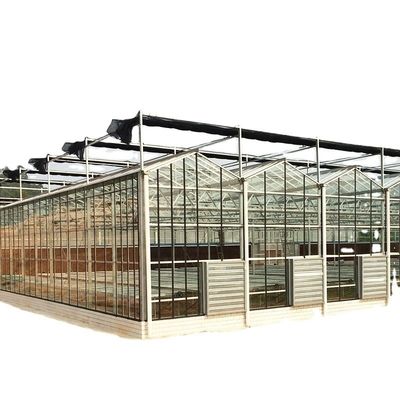 Grande estufa de vidro agrícola personalizada com sistema de calhas hidropônicas de PVC