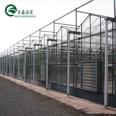 Grande estufa de vidro agrícola personalizada com sistema de calhas hidropônicas de PVC