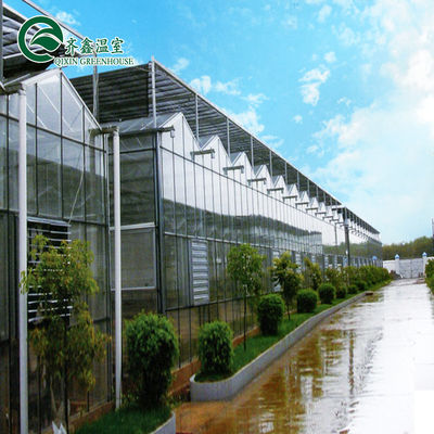 Grande estufa de vidro agrícola personalizada com sistema de calhas hidropônicas de PVC