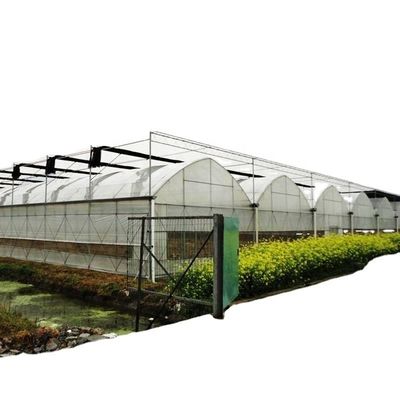 Sistema de sombreamento interior Fungos Equipamento de estufa para frutas e flores vegetais
