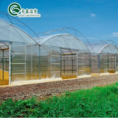 Estufas agrícolas de duas ou de uma única camada com várias faixas para agricultura personalizável