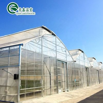 Container usado Tomate Estufas PE Material Sistema de ventilação opcional