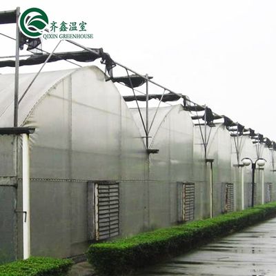 PO Estufas de camada única para a agricultura