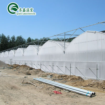 Estufas agrícolas de duas ou de uma única camada com várias faixas para agricultura personalizável