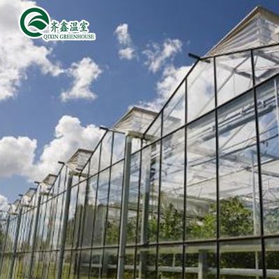 Grande estufa de vidro Fungos Aeropônica Torre Jardim para Eco Restaurante Instrução