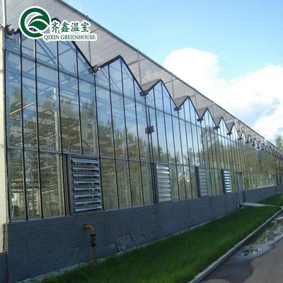 Grande estufa de vidro Fungos Aeropônica Torre Jardim para Eco Restaurante Instrução