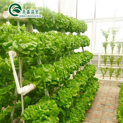 Sistema hidropónico vertical revestido de vidro para o cultivo de vegetais, frutas e flores