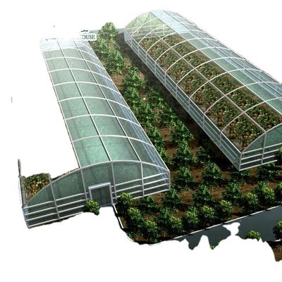 Cultive seus próprios vegetais frutas e flores com a nossa estufa comercial Filipinas