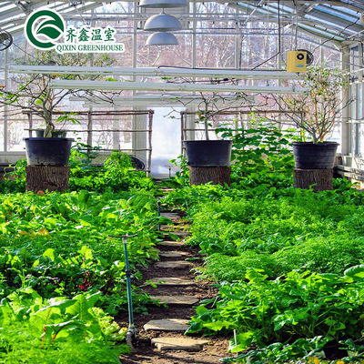Vegetais Frutas Flores Tomates Folha de PC Estufas para restaurantes ecológicos
