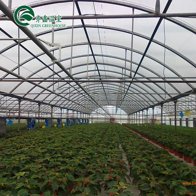 Vegetais Frutas Flores Tomates Folha de PC Estufas para restaurantes ecológicos