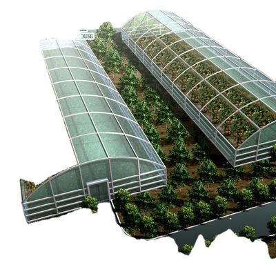 Sistema aquático aquapónico comercial Estufas PO pré-fabricadas para vegetais