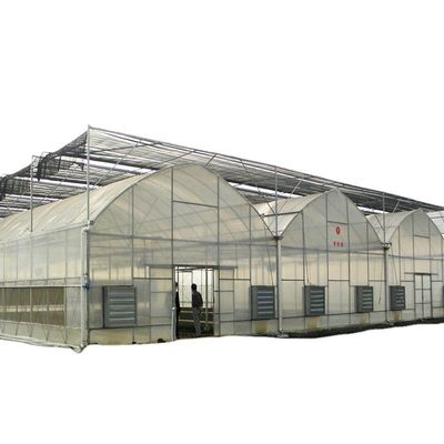 Container usado Tomate Estufas PE Material Sistema de ventilação opcional