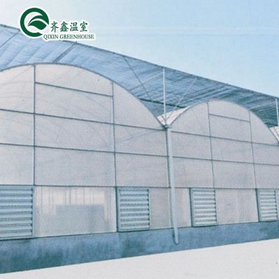 Container usado Tomate Estufas PE Material Sistema de ventilação opcional
