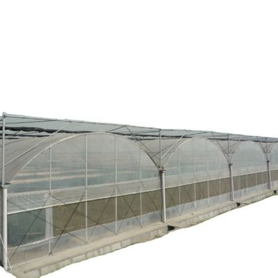 Container usado Tomate Estufas PE Material Sistema de ventilação opcional